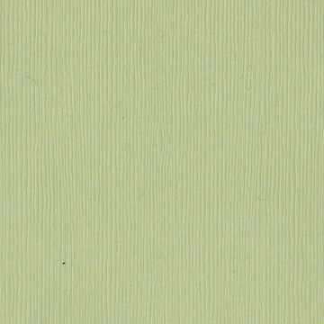 5-5101E BAZZILL 12X12 SPRING BREEZE - 300914