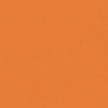 T3-391 BAZZILL 12X12 CARROT CAKE - 301279