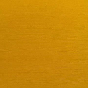 T4-485 BAZZILL 12X12 AMBER - 301281