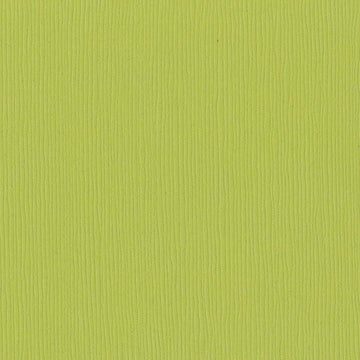 5-5142D BAZZILL 121X2 GRANNY SMITH - 301284