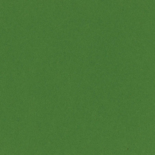 BAZZILL CARDSTOCK 12 X 12 KIWI CRUSH - 302224