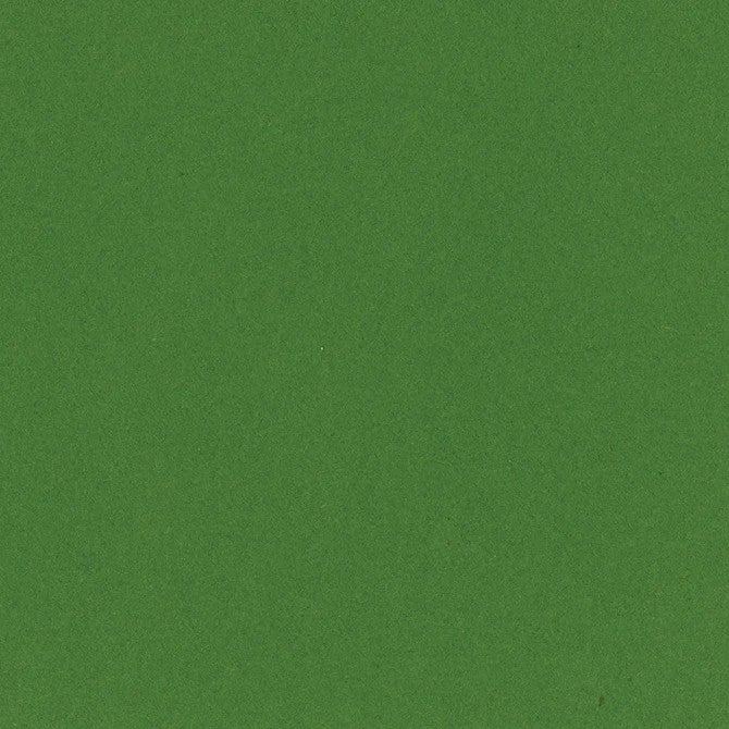 BAZZILL CARDSTOCK 12 X 12 KIWI CRUSH - 302224