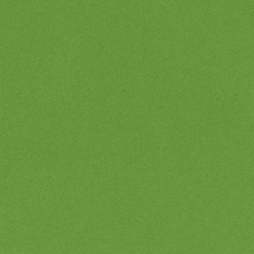 BAZZILL CARDSTOCK 12 X 12 LIME CRUSH - 302225