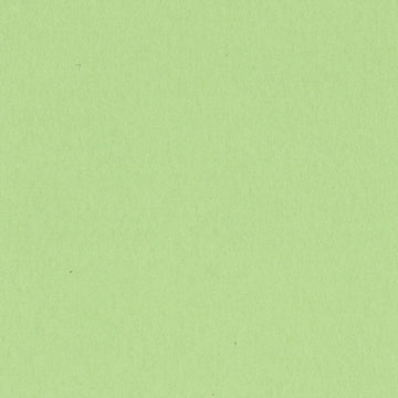 BAZZILL CARDSTOCK 12 X 12 APPLE CRUSH - 302226