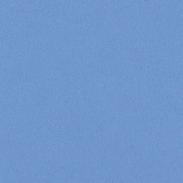 BAZZILL CARDSTOCK 12 X 12 WILDBERRY PIE - 302238