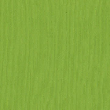 T19-5381 BAZZILL 12X12 INTENSE KIWI - 303602