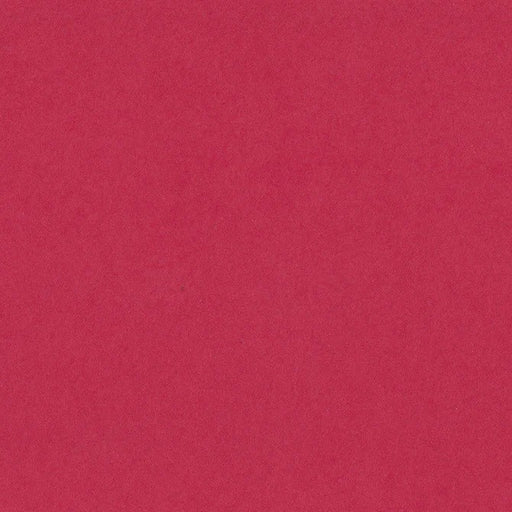 1-192 BAZZILL 12X12 LOLLIPOP - 304551