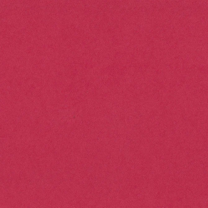 1-192 BAZZILL 12X12 LOLLIPOP - 304551