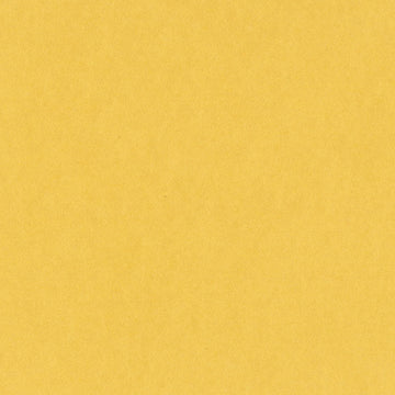 4-482 BAZZILL 12X12 BANANA SPLIT - 304555