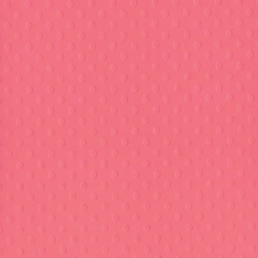  BAZILL 12X12 SPOTTED CORAL REEF - 305030