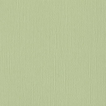 5-506D BAZZILL LINEN ALOE VERA - 309013