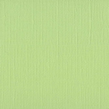 5-509D BAZZILL LINEN LIMEADE - 309014