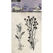 STUDIO LIGHT • NATURE'S DREAM 2 CLEAR STAMP - HE-ND-STAMP719