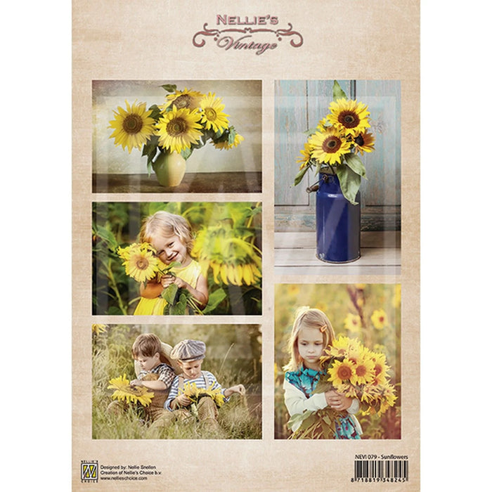 NELLIE'S CHOICE • CUTTING SHEETS VINTAGE SUNFLOWERS -NEVI079