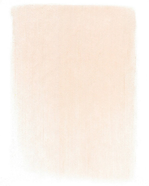 PANPASTEL ARTISTS PASTELS VERMILION TINT - PP23108