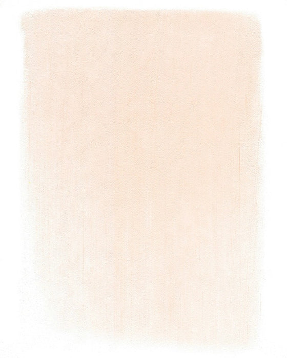 PANPASTEL ARTISTS PASTELS VERMILION TINT - PP23108