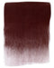 PANPASTEL ARTISTS PASTELS CRIMSON EXTRA DARK - PP23501