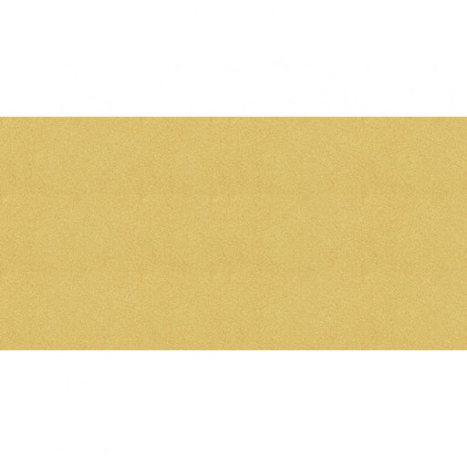 PANPASTEL ARTISTS PASTELS LIGHT GOLD - PP29105