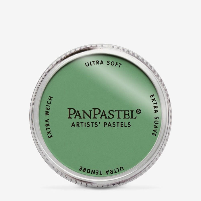 PANPASTEL ARTISTS PASTELS OXIDE GREEN - PP26605