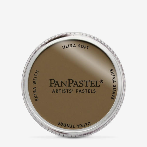 PANPASTEL ARTISTS PASTELS RAW UMBER - PP27805