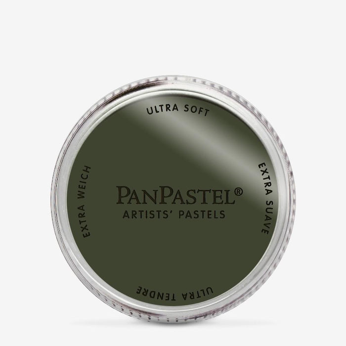 PANPASTEL ARTISTS PASTELS RAW UMBER EXTRA DARK - PP27801