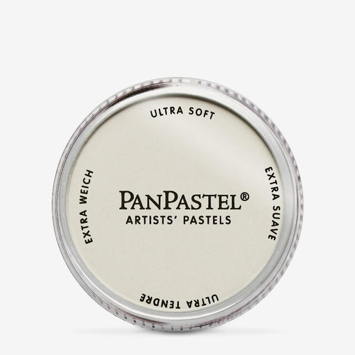 PANPASTEL ARTISTS PASTELS RAW UMBER TINT - PP27808
