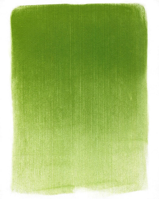 PANPASTEL ARTISTS PASTELS YELLOW GREEN SHADE - PP26903