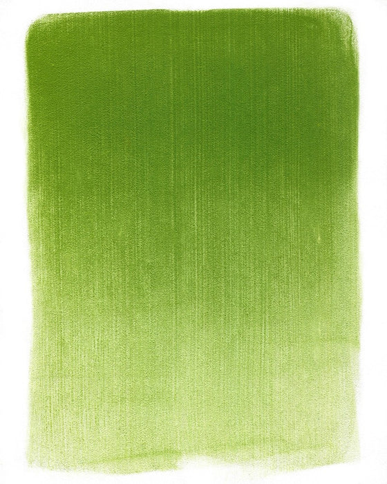 PANPASTEL ARTISTS PASTELS YELLOW GREEN SHADE - PP26903