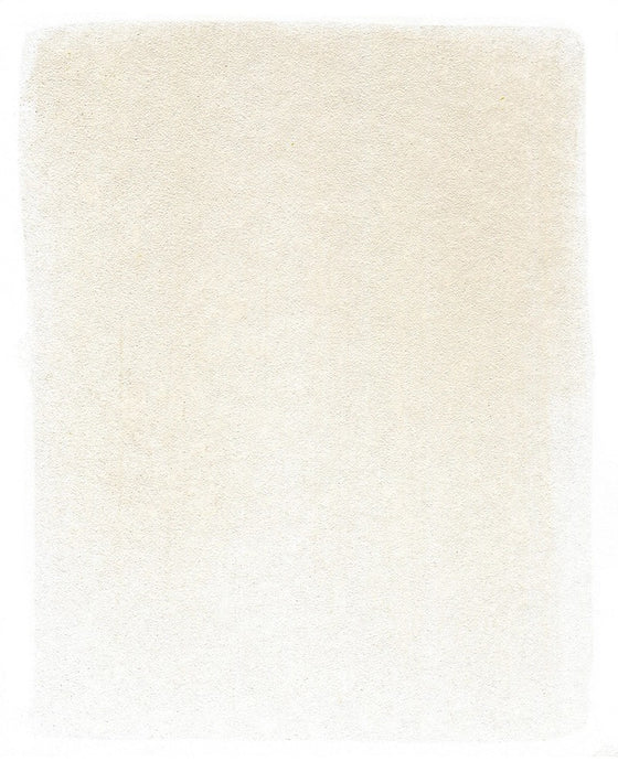 PANPASTEL ARTISTS PASTELS BURNT UMBER TINT - PP27608