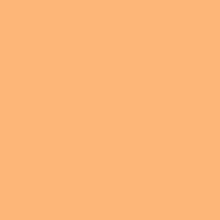 KAISERCRAFT 12X12 WEAVE CARDSTOCK APRICOT - CD319