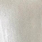 LIQUITEX BASICS ACR 118ML IRID WHITE