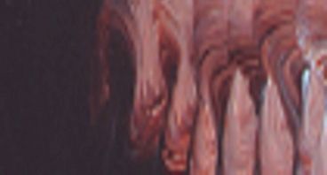 MATISSE STRUCT 75ML S1 BURNT UMBER - MSBUUMS