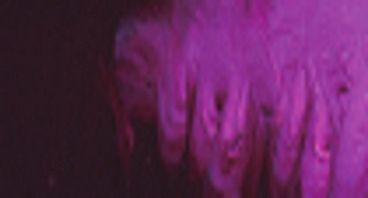 MATISSE STRUCT 75ML S2 BURGUNDY - MSBURGS