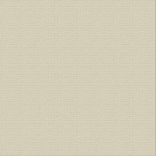 COUTURE CREATIONS-12X12 CARDSTOCK PKT 10- DELICATE MEDLAR - ULT200002