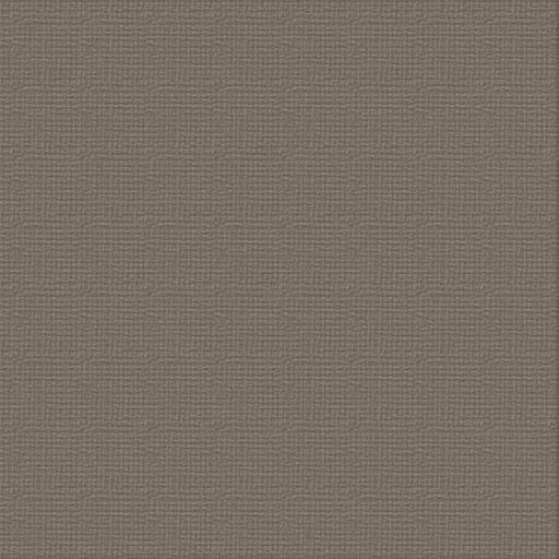 COUTURE CREATIONS-12X12 CARDSTOCK PKT 10- HIPPODROME - ULT200005