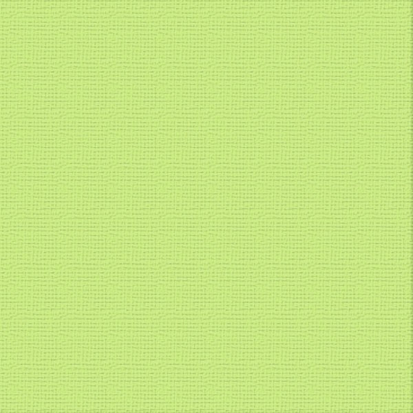 COUTURE CREATIONS-12X12 CARDSTOCK PKT 10- MANTIS - ULT200025