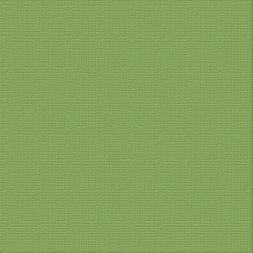 COUTURE CREATIONS-12X12 CARDSTOCK PKT 10- JUNGLE - ULT200038