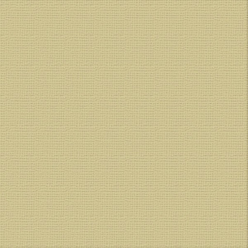 COUTURE CREATIONS-12X12 CARDSTOCK PKT 10- DRIFTWOOD - ULT200046