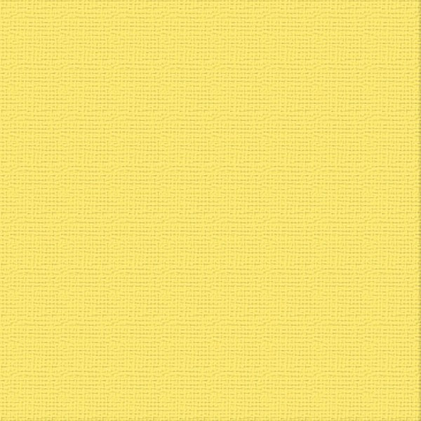 COUTURE CREATIONS-12X12 CARDSTOCK PKT 10- RAINCOAT - ULT200050