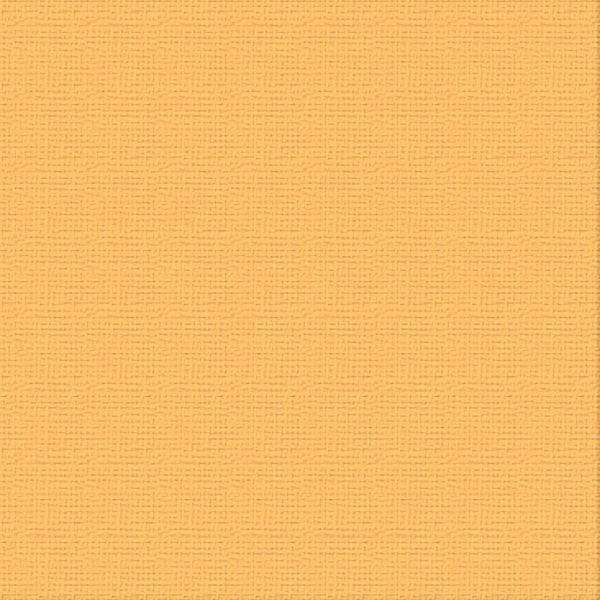 COUTURE CREATIONS-12X12 CARDSTOCK PKT 10- MONARCH - ULT200052