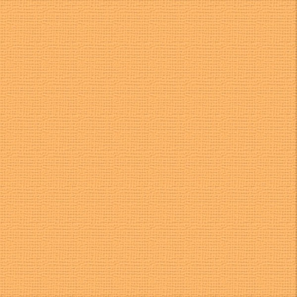 COUTURE CREATIONS-12X12 CARDSTOCK PKT 10- LANTANA - ULT200053