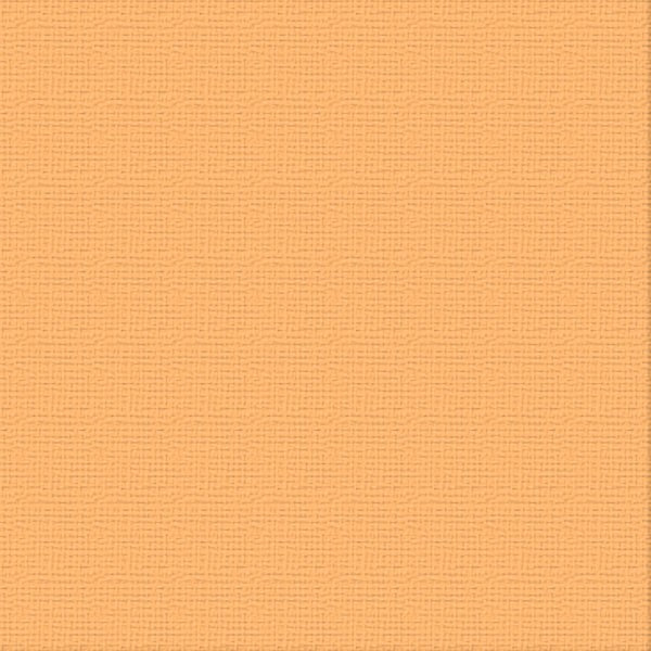 COUTURE CREATIONS-12X12 CARDSTOCK PKT 10- TEMPTRESS - ULT200057