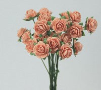 GREEN TARAROSES 1CM PEACH - FDR001PE