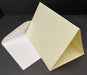IVORY TEXTURED PLAIN 3 PANEL CARDS & ENV PKT 50 - PT3 BULK