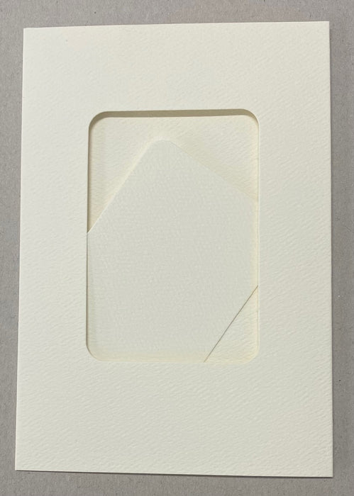 IVORY STANDARD RECTANGLE CUTOUT 3 PANEL CARD & ENV - RE2 BULK