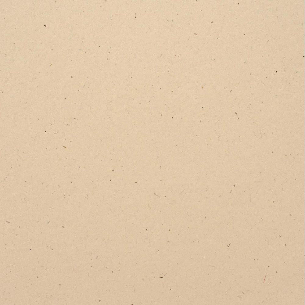 BAZZILL CARDSTOCK 12 X 12 NATURAL STONE - 300137