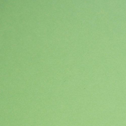 A4 FOUNDATION CARDSTOCK PASTEL GREEN - 40076