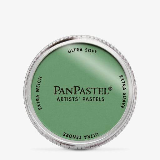 PANPASTEL  ARTISTS PASTELS OXIDE GREEN
