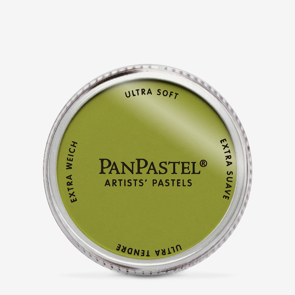 PANPASTEL  ARTISTS PASTELS BRIGHT YELLOW  GREEN SHADE