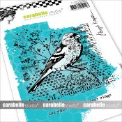CARABELLE STUDIO TAMPONS ART STAMP A6 : DREAM WINGS BY BIRGI - SA60541E